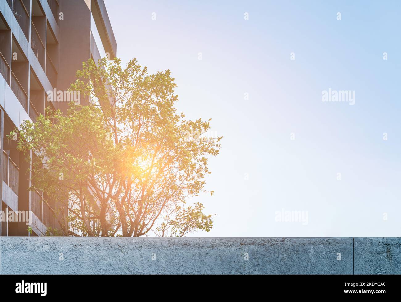 Schöner Garten auf dem Dach eines Wohnhauses in Asien, Garten auf einem Gebäude, warmes Licht, gerohter Himmel mit leerem Platz für Kopie. Stockfoto