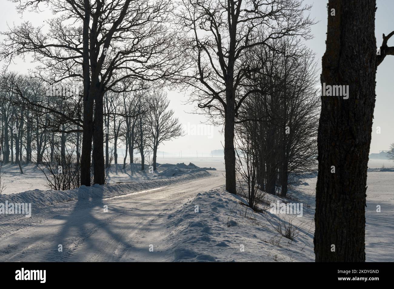 Eisige Straße an sonnigen Wintertagen. Stockfoto