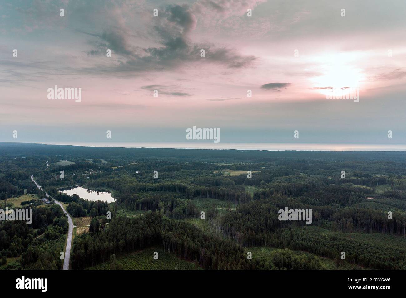 Kiefernwälder am Golf von Riga, Lettland. Stockfoto