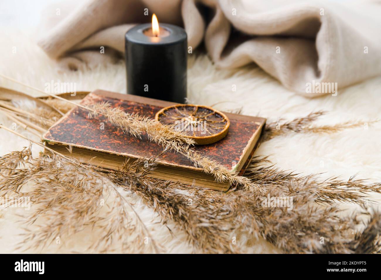 Selektiver Fokus auf altes braunes Blatt Vintage-Buch, getrocknete Orangenscheibe, Schilfgras zur Dekoration, schwarze Kerze im Haus drinnen auf Pelzdecke. Stockfoto