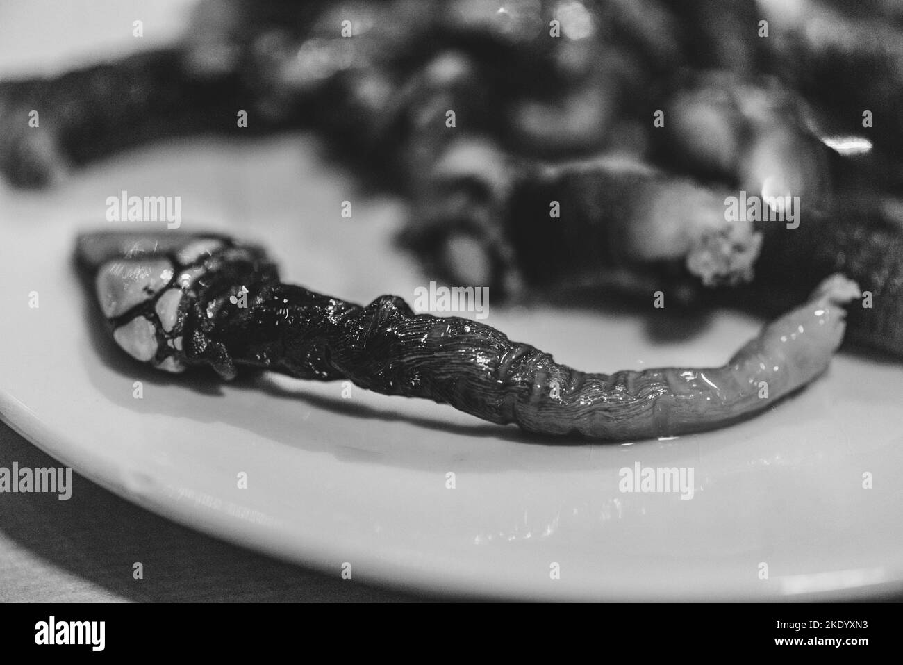 Nahaufnahme von Percebes oder Gänsehaut-Seafood in Schwarzweiß, auch bekannt als Luzifer's Fingers Stockfoto