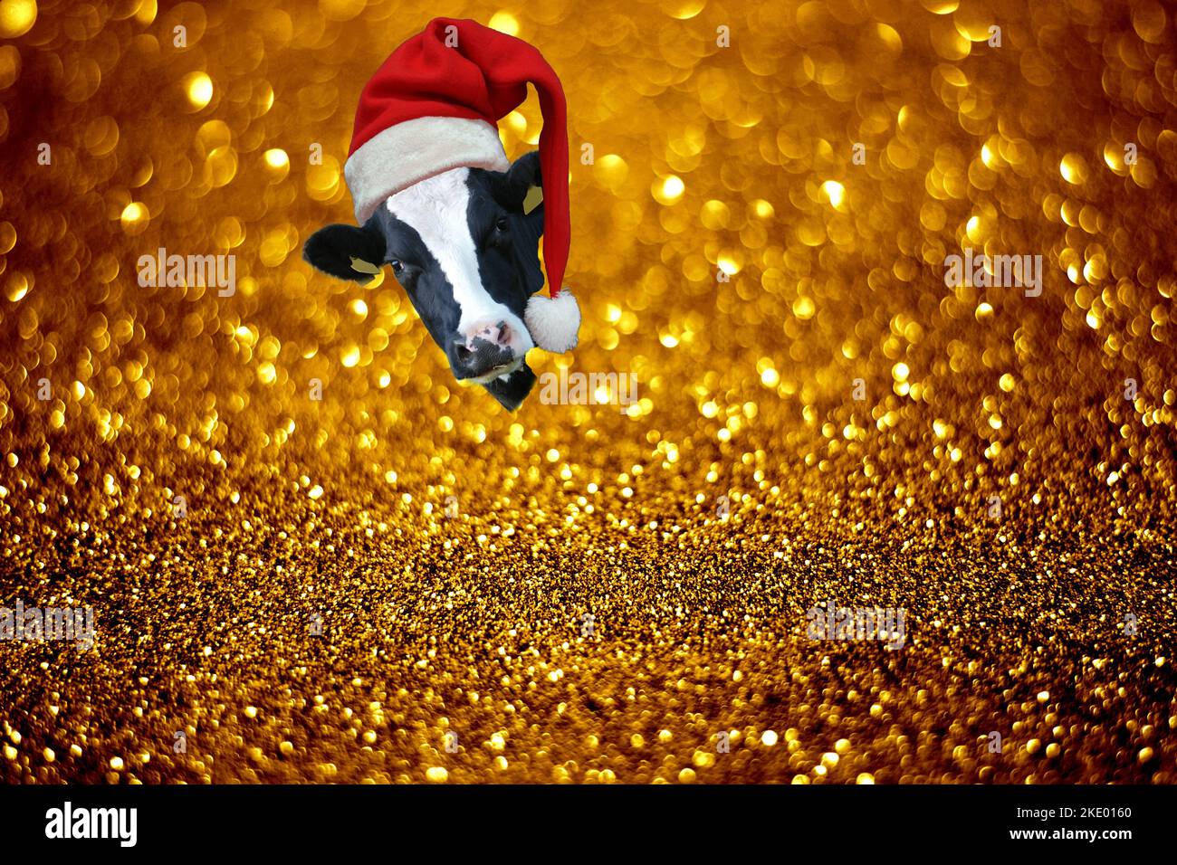 Kuh Weihnachtsmann . Kuh mit rot-weißem weihnachtsmannhut auf dem Kopf, der aus einem abstrakten Hintergrund mit goldenem Glitzer und Bokeh spätet.Goldener Glit Stockfoto