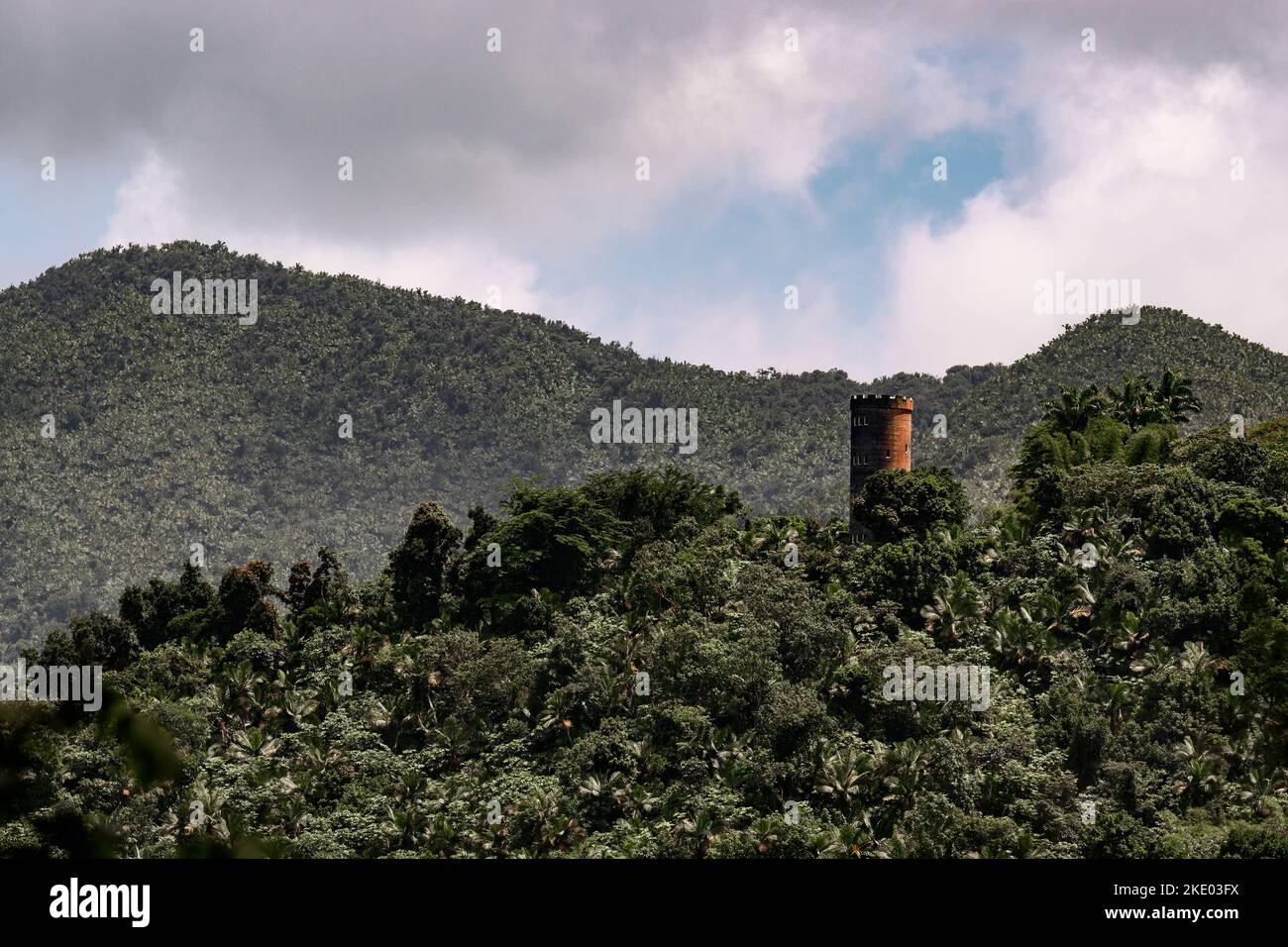 Der El Yunque National Forest und der Yokahu Tower mit malerischen üppigen Bäumen und hohen Hügeln in Puerto Rico Stockfoto