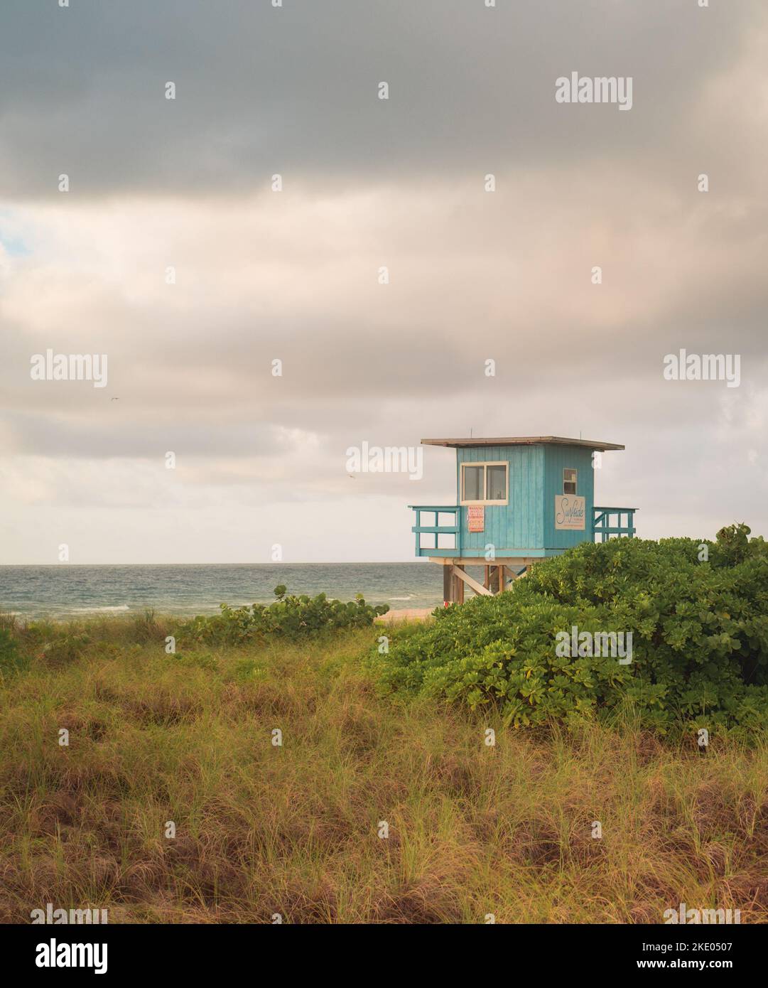 Eine Lifeguard Station hinter einer grünen Anlage am Meer in Bal Harbour, Miami Beach, Florida Stockfoto