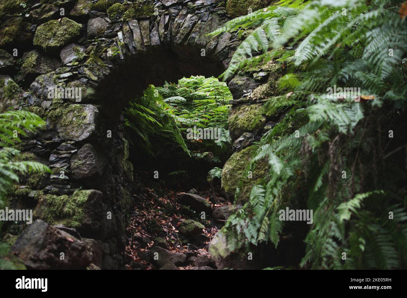 Ein Steinbogen und eine Mauer umgeben von Farnen in La Galga auf der Insel La Palma auf den Kanarischen Inseln Stockfoto