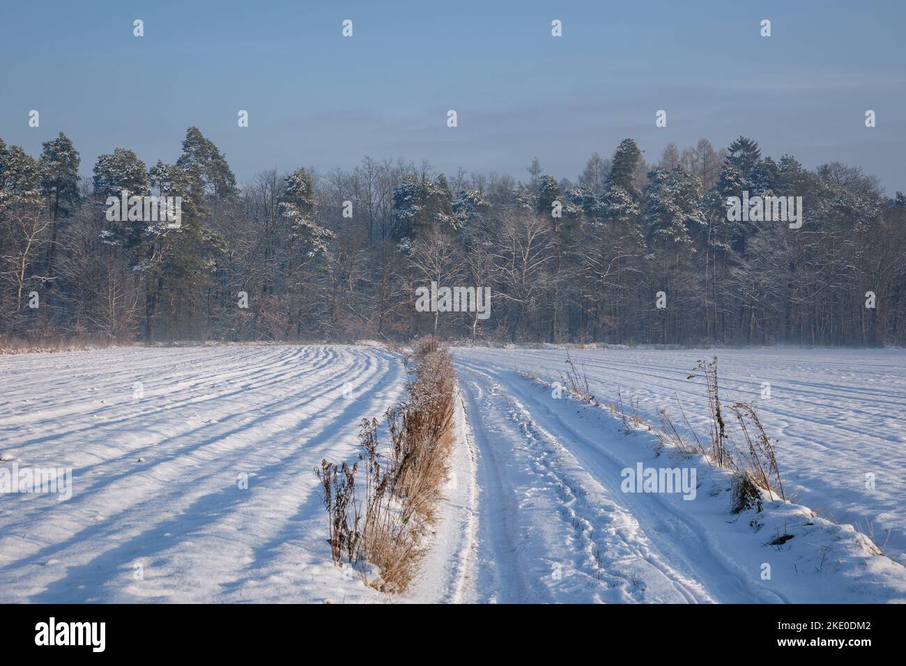 Ländliche Feldstraße im Dorf Rogow in der Woiwodschaft Lodzkie in Polen Stockfoto