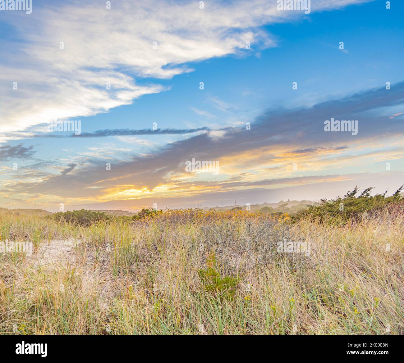 Dünenlandschaft in der Spätnachtssonne am Atlantic Beach, Amagansett, NY Stockfoto
