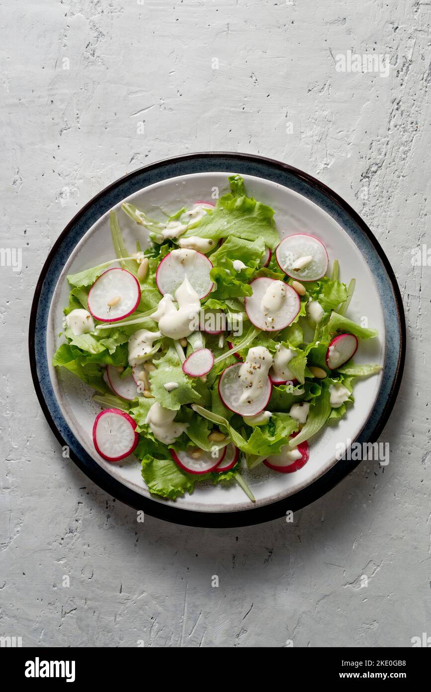 Sommer-itaische Salas mit Salat, Radieschen und Sauce auf einem Teller. Draufsicht. Speicherplatz kopieren. Stockfoto