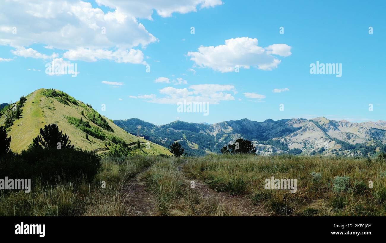 Scotts Pass/Western Trail Ridgeline Overlook Stockfoto