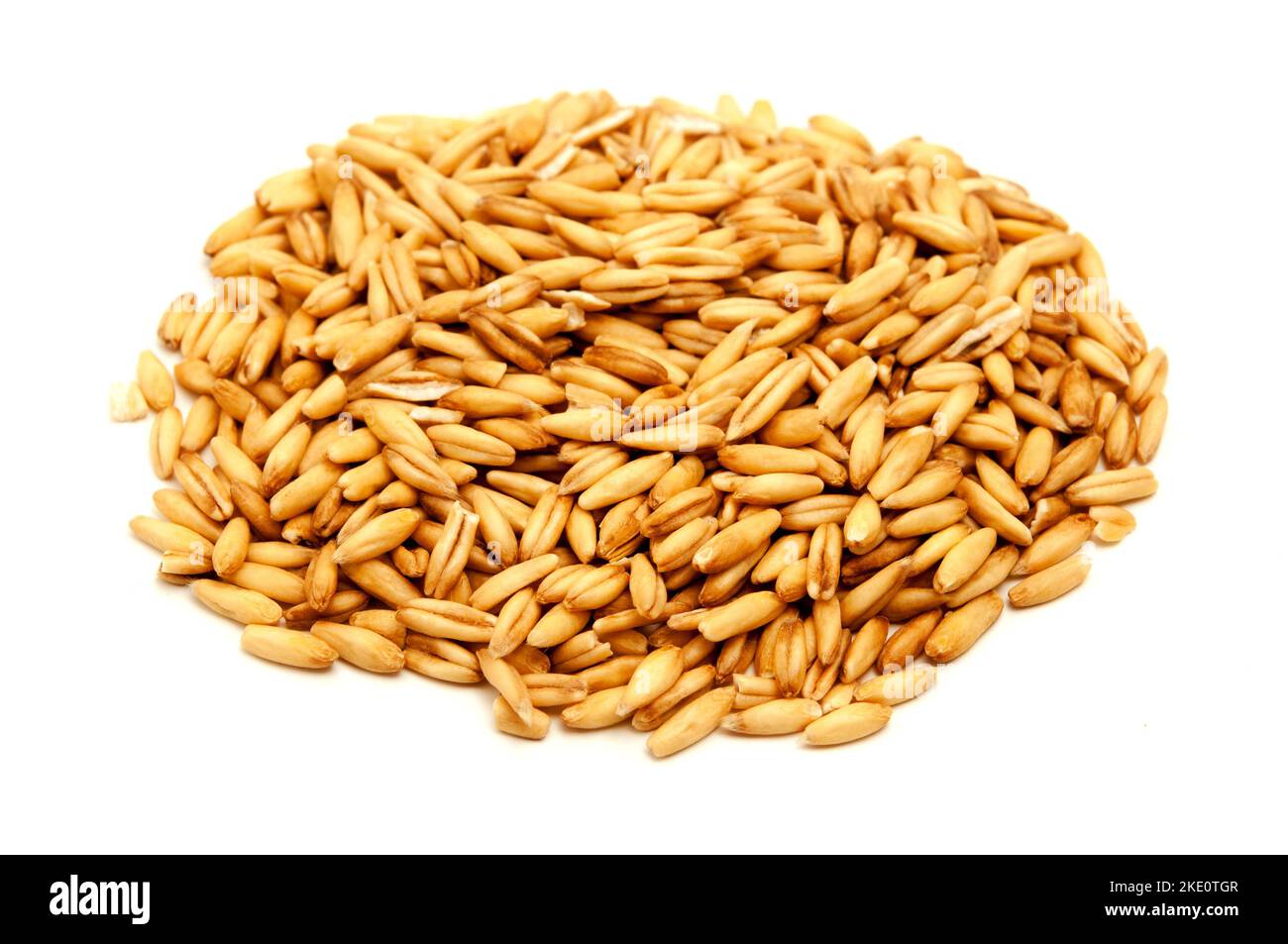 Hafer-Getreide auf weißem Hintergrund Stockfoto
