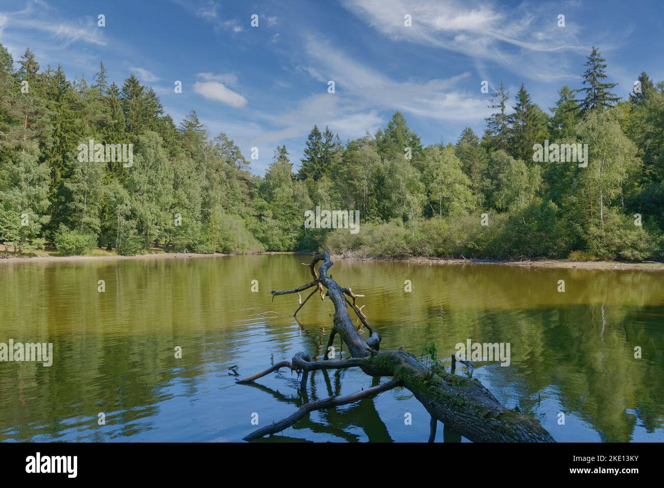 Wiesbuettsee,Spessart,Hessen,Deutschland Stockfoto