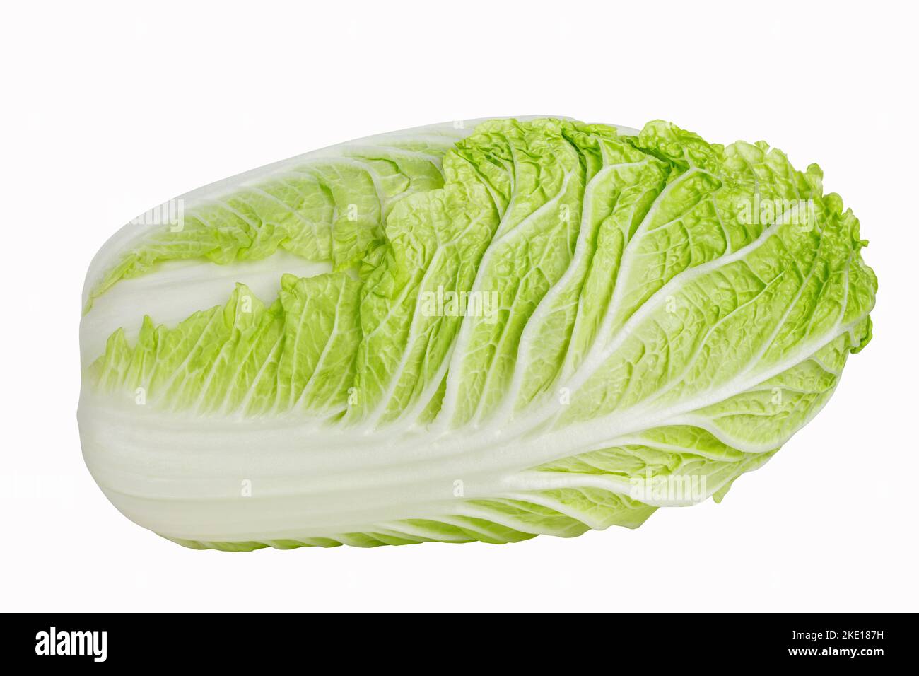Napa-Kohl oder chinakohl isoliert auf weißem Hintergrund Stockfoto