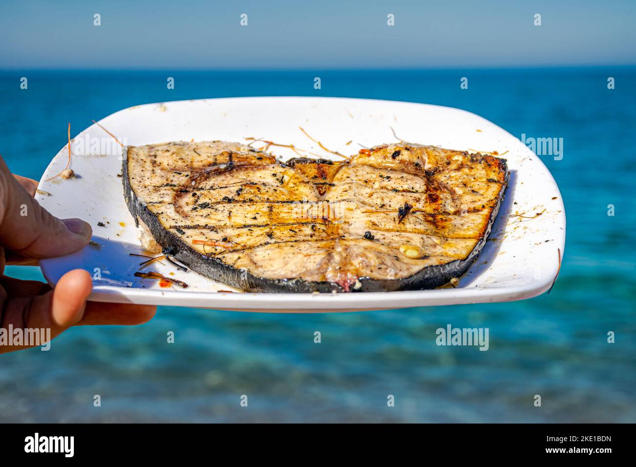 Ein Stück Schwertfisch auf einem weißen Teller, das von einer Hand gehalten und freigelegt wird. Selektiver Fokus auf Vordergrund und unscharfen Hintergrund mit türkisfarbenem Meerwasser. Stockfoto