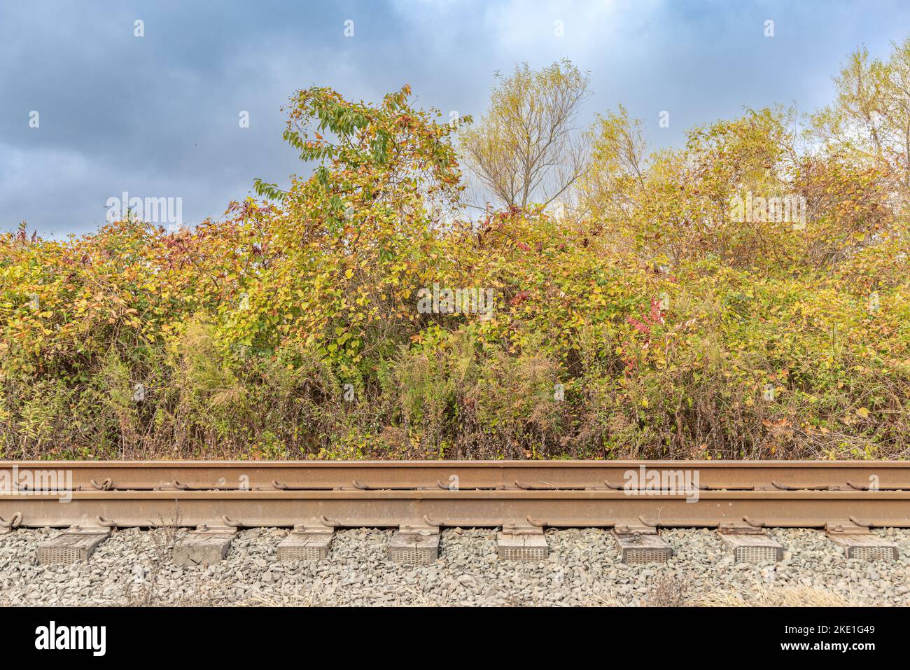 Abschnitt der Eisenbahnstrecke mit herbstlichem Laub im Hintergrund Stockfoto
