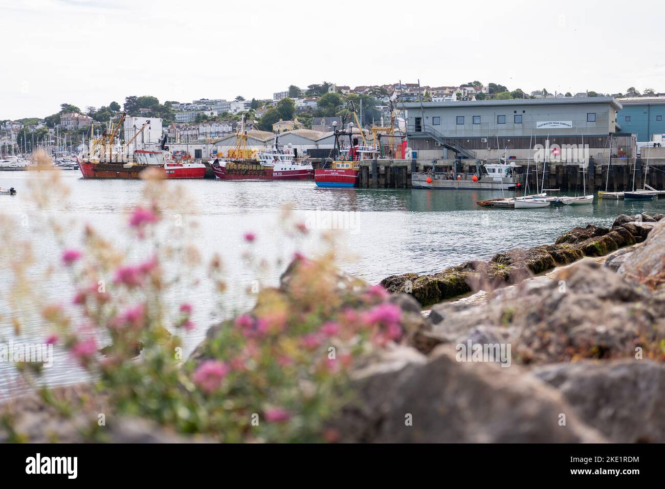 Fischerboote im Hafen von Brixham Fish Market, Brixham, South Devon. Stockfoto