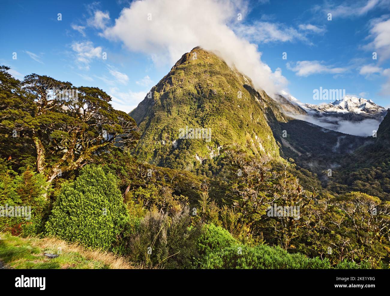 Berglandschaft des Fiordland National Park in Neuseeland Stockfoto