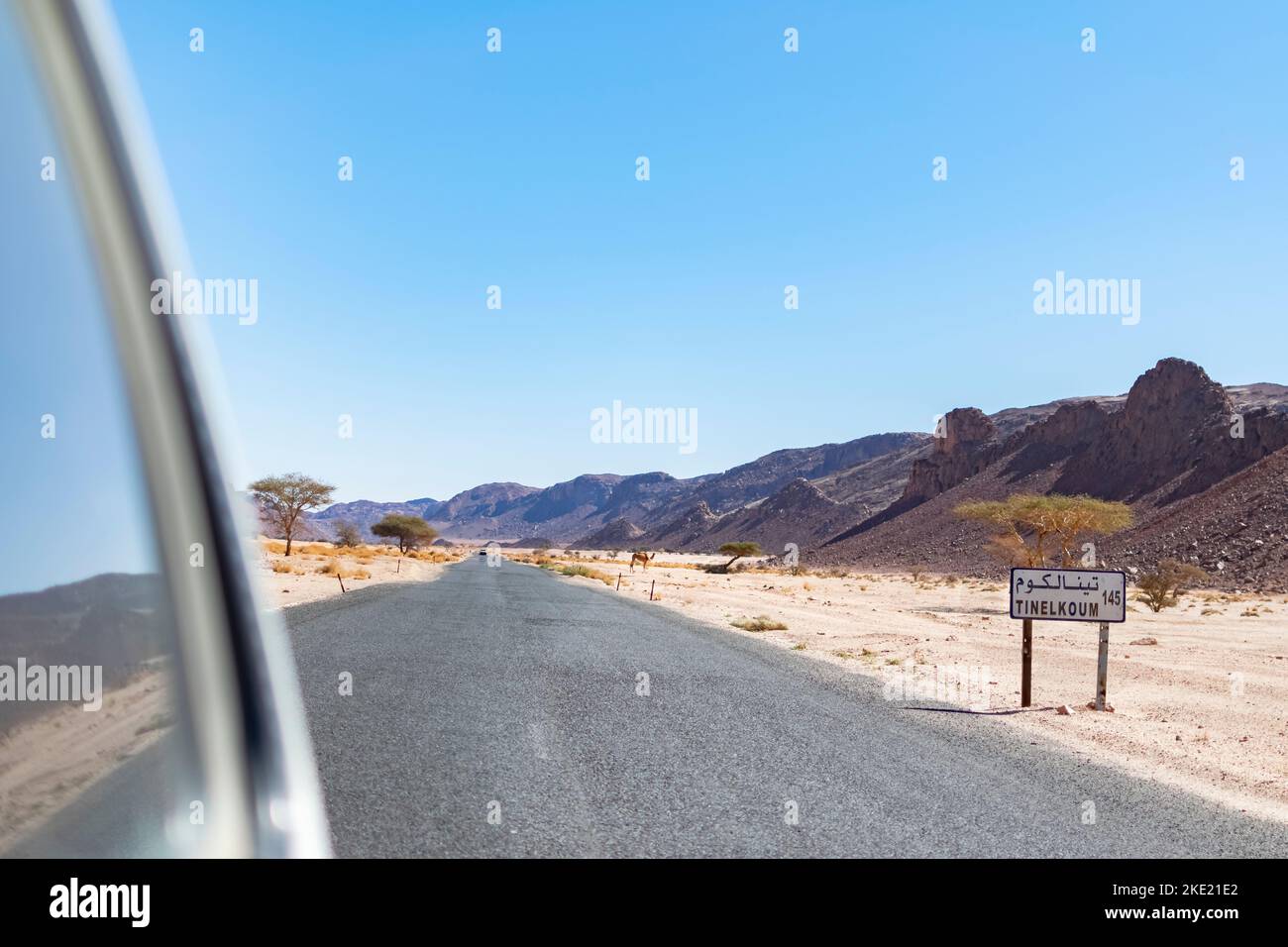 Tin El Koum, Algerien. Vom hinteren 4X4-Fenster aus kann man die Tinelkoum-Wüstenstraße mit einem Dromedar auf dem Regiment, den Rocky Mountains und dem blauen Himmel betrachten. Stockfoto