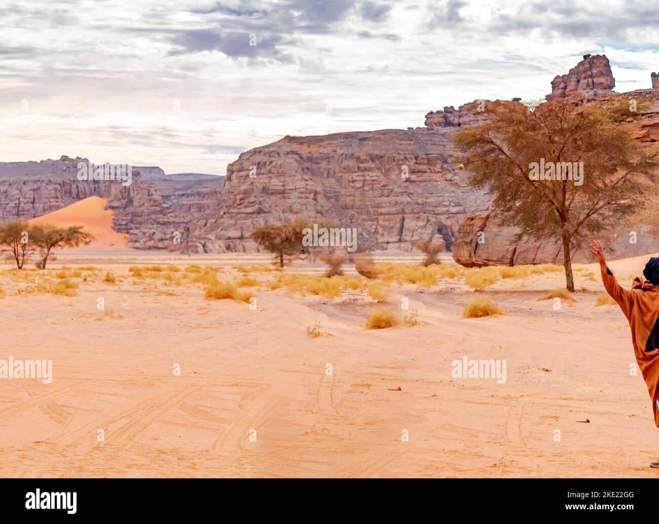 Tadrart Rouge Half tuareg Mann hebt Arm in Sahara Wüste Tassili n'Ajjjer, Djanet. Akazienbäume, Farbverlauf Sand, trockene Kräuter, gelbe Sandsteine Stockfoto