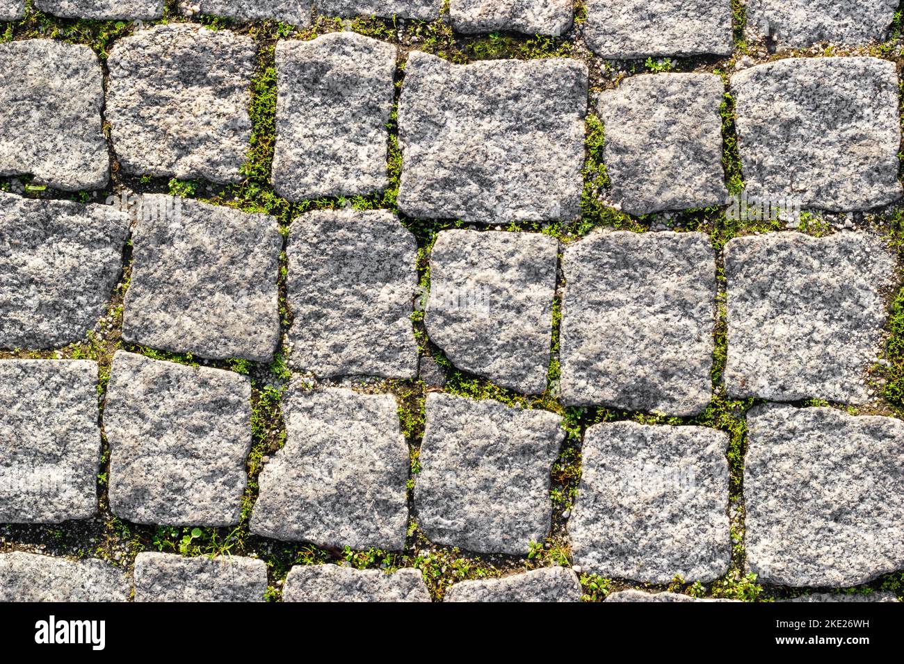 Struktur der gepflasterten Steinstraße mit asymmetrischen Steinen mit gesproßenem Gras an den Nähten. Draufsicht Stockfoto