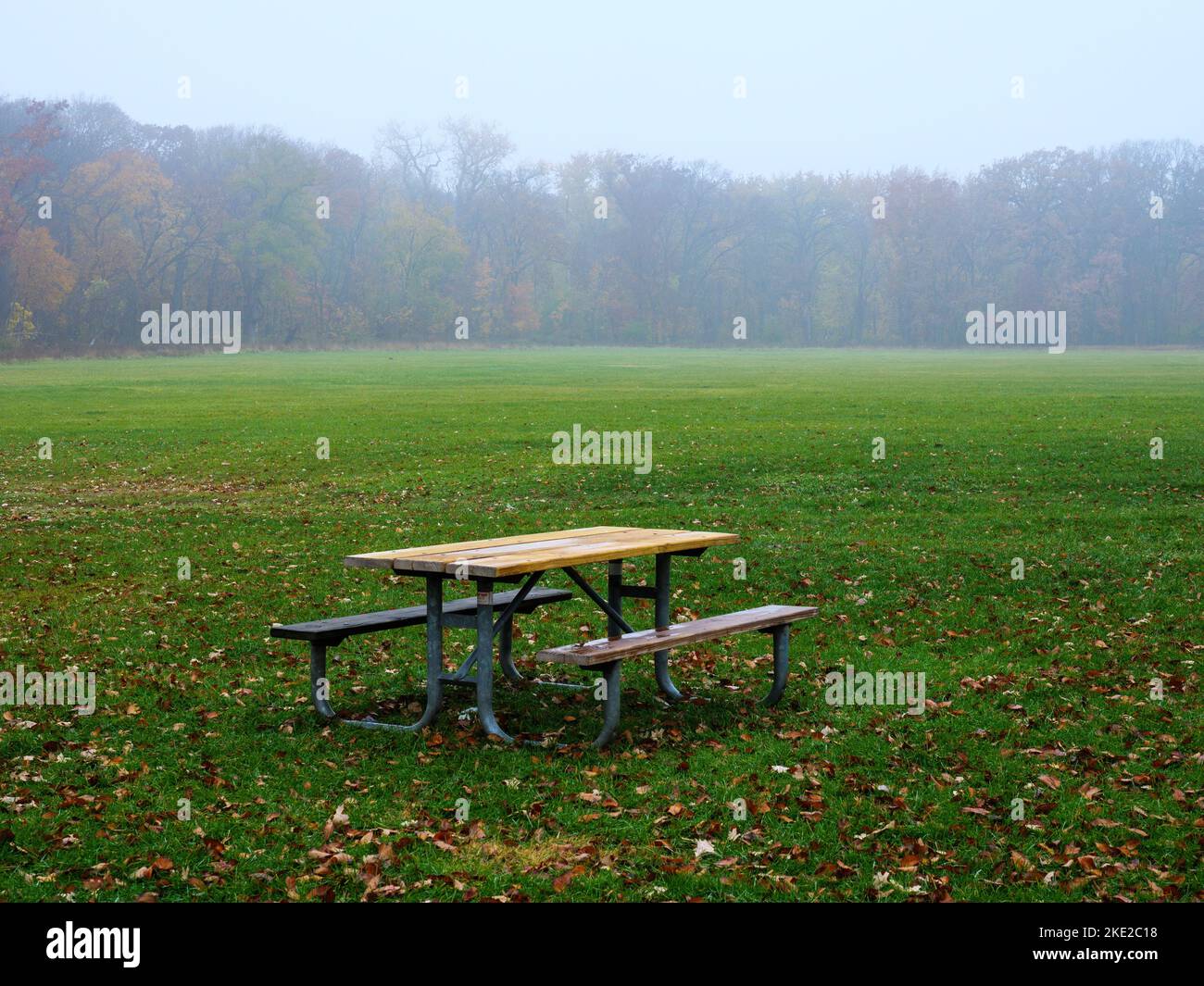 Picknicktisch auf einem Feld an einem nebligen Herbsttag mit Wald in der Ferne. Stockfoto