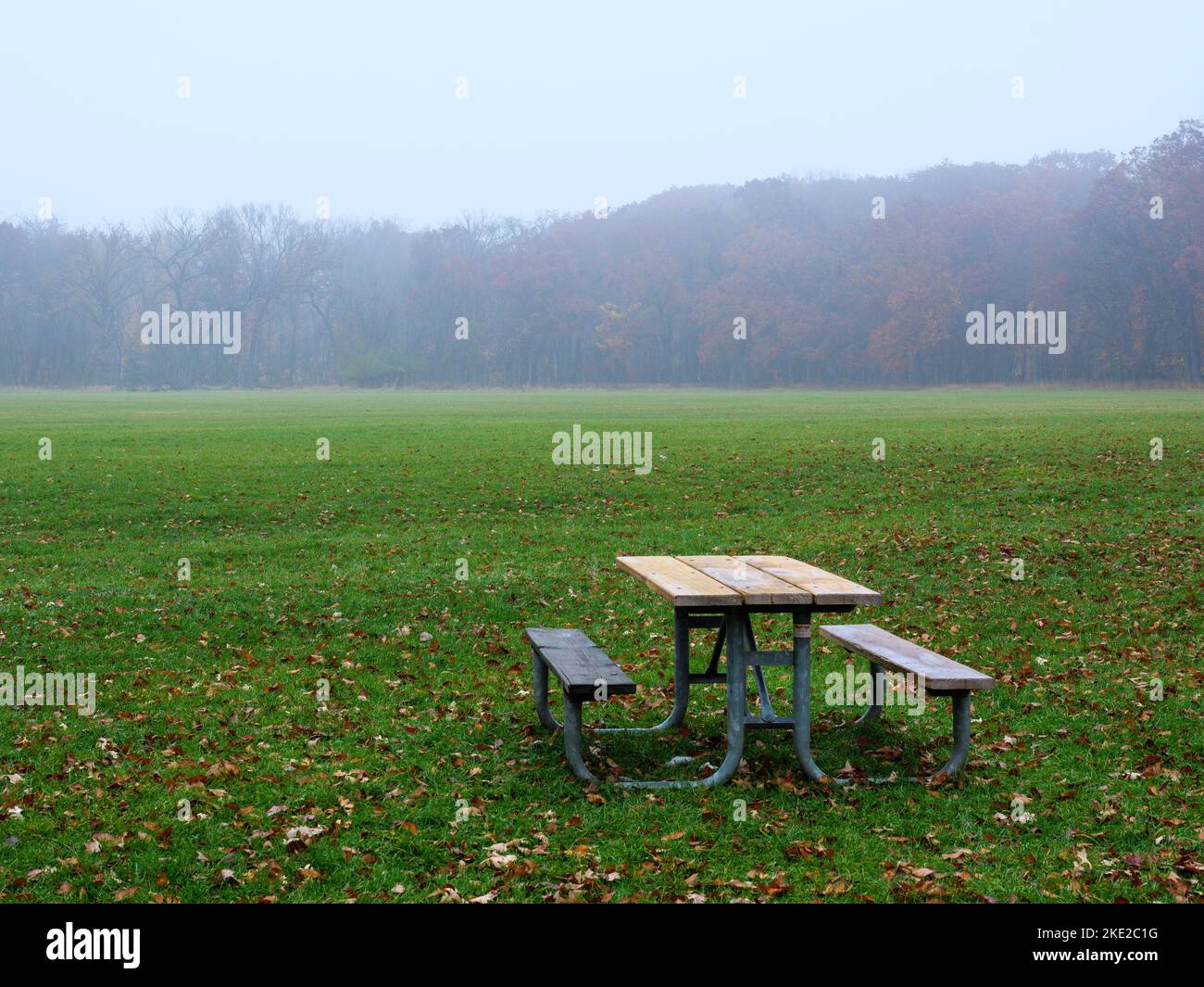 Picknicktisch auf einem Feld an einem nebligen Herbsttag mit Wald in der Ferne. Stockfoto