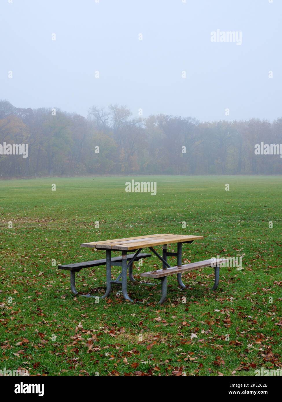 Picknicktisch auf einem Feld an einem nebligen Herbsttag mit Wald in der Ferne. Stockfoto