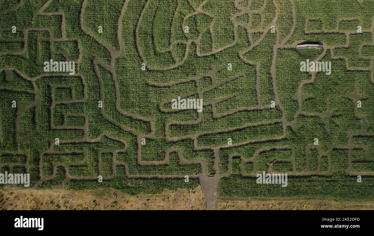 Luftaufnahme Von Calgary Alberta Corn Maze Stockfoto