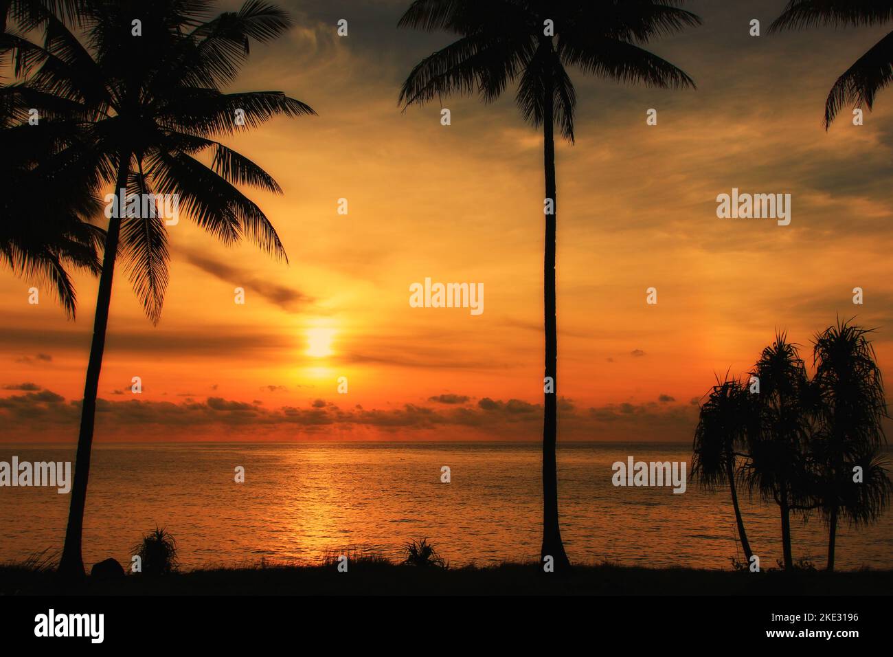 Kokospalmen am Strand mit einem gelben Sonnenuntergang als Kulisse auf der Insel Ternate, Nord-Maluku, Indonesien Stockfoto