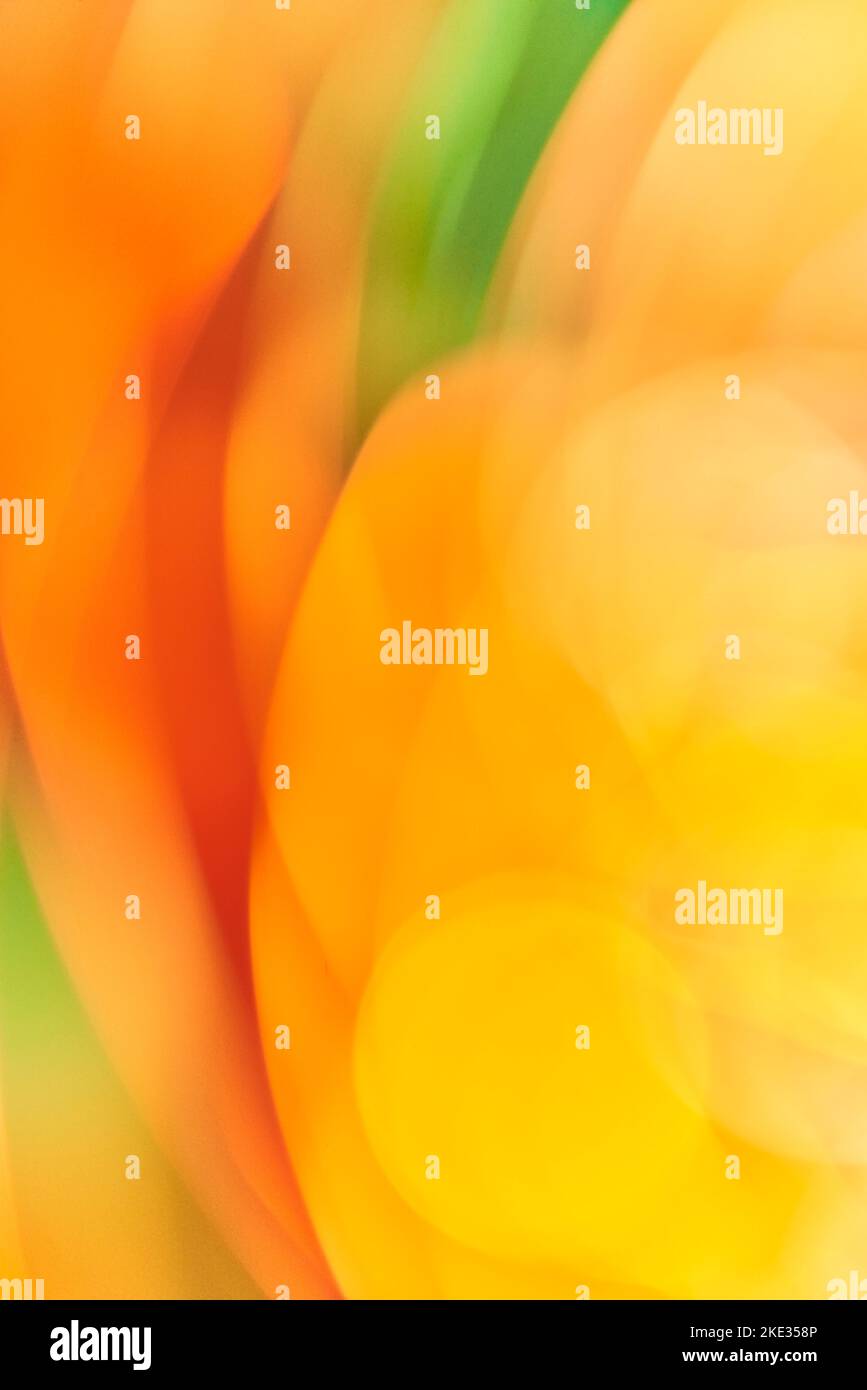 Künstlerisch abstrakt farbenfroher Hintergrund in lebendigen Farben, gelb, orange und grün. Geschmeidiges und fließendes Design, energiegeladen und lebendig. Stockfoto