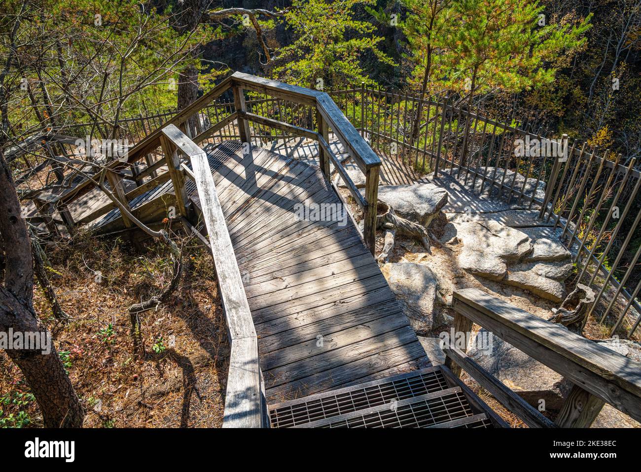 Treppen hinunter zum malerischen Blick über die Eau Dor Falls auf dem North Rim Trail im Tallulah Gorge State Park in Tallulah Falls, Georgia. (USA) Stockfoto