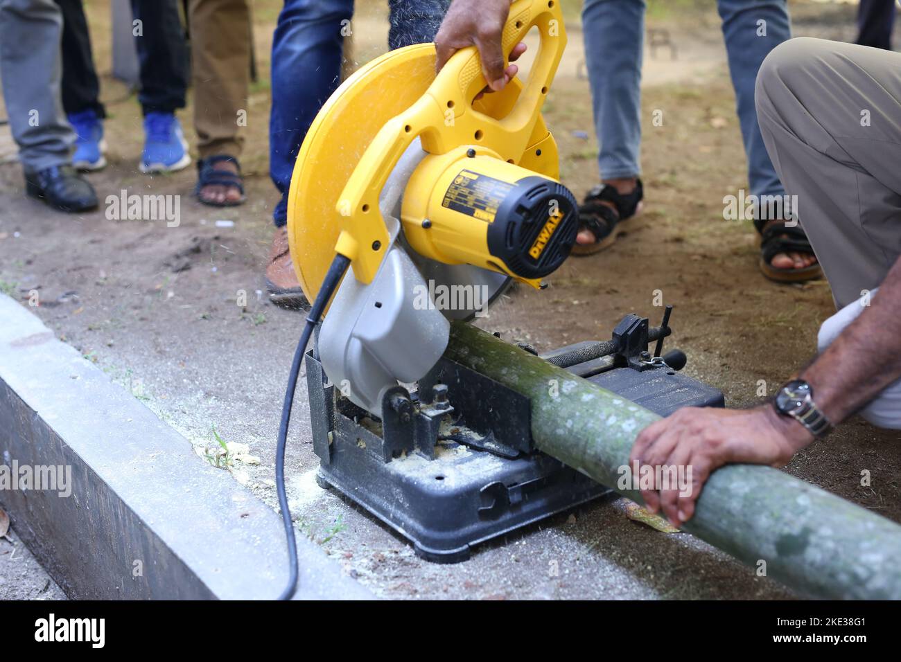 Bambus schneiden passend zu man Hand  harten Arbeiter-Holzarbeiter Stockfoto