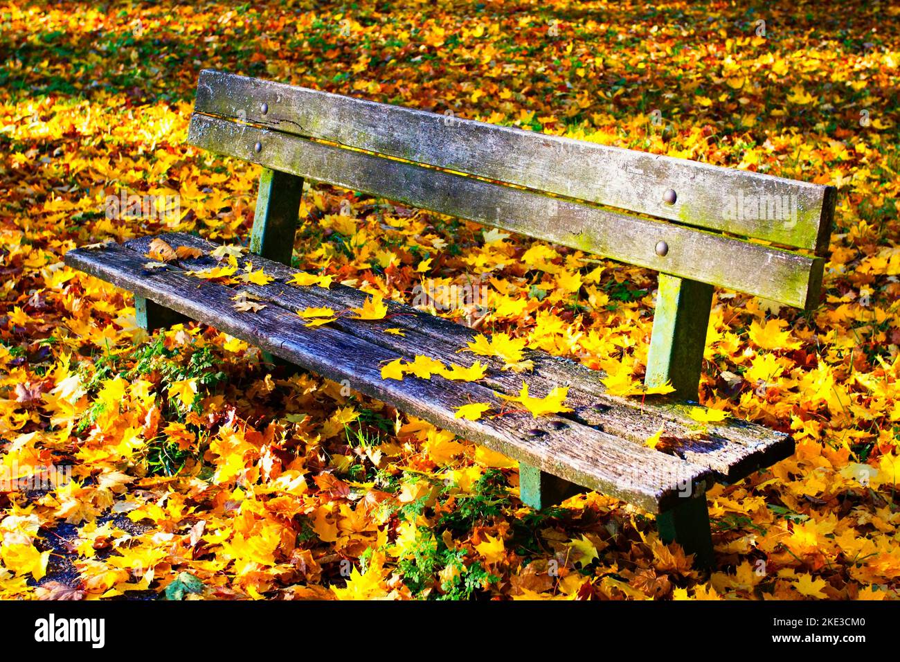 Herbst im Kurpark Turcianske Teplice in der Westslowakei. Stockfoto