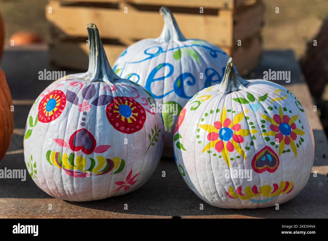 Reife Kürbisse mit bunten traditionellen Ornamenten auf dem Tisch während der Day of the Dead Feier auf dem Bauernhof dekoriert Stockfoto