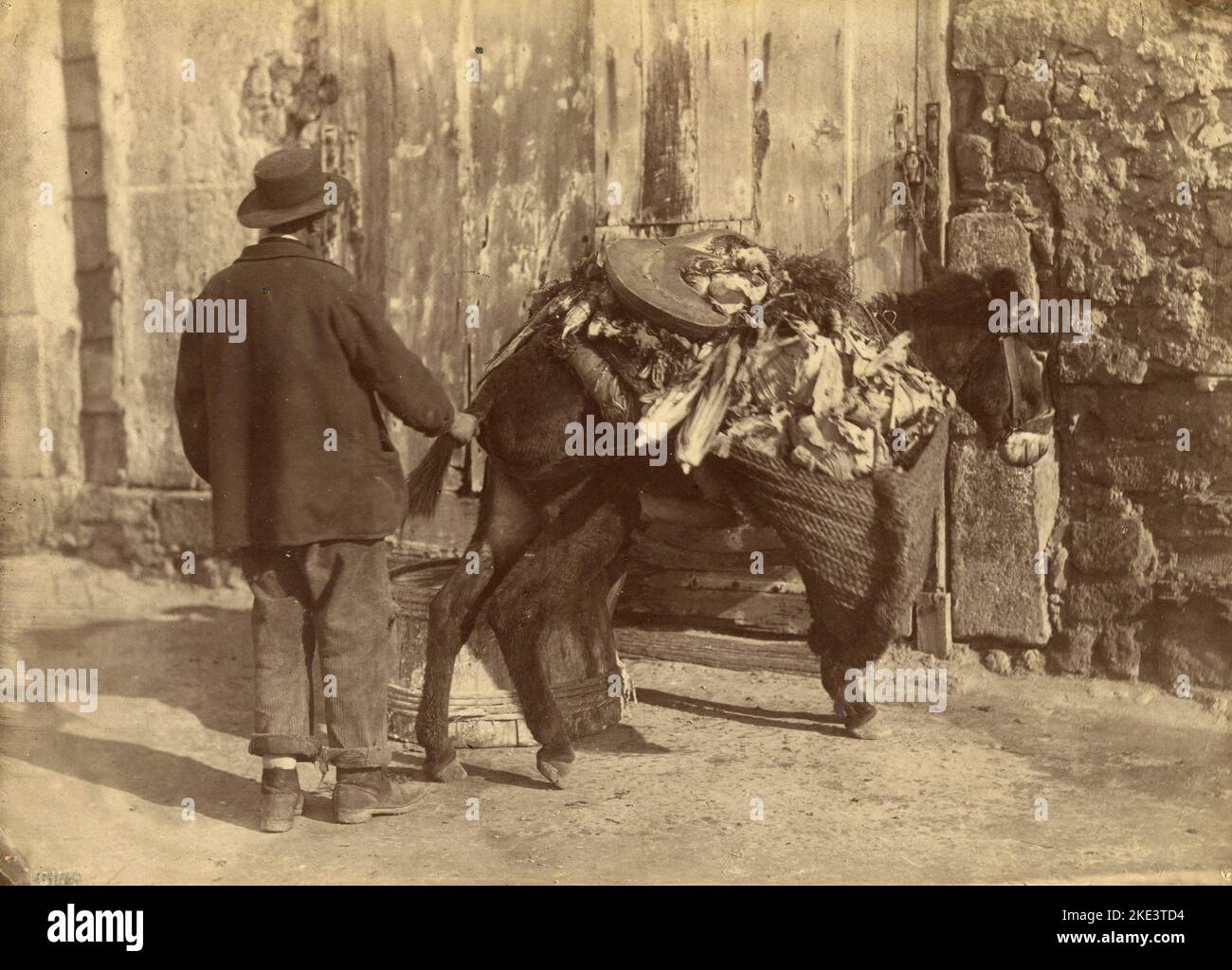 Gemüsehändler mit Esel, Neapel, Italien 1880s Stockfoto