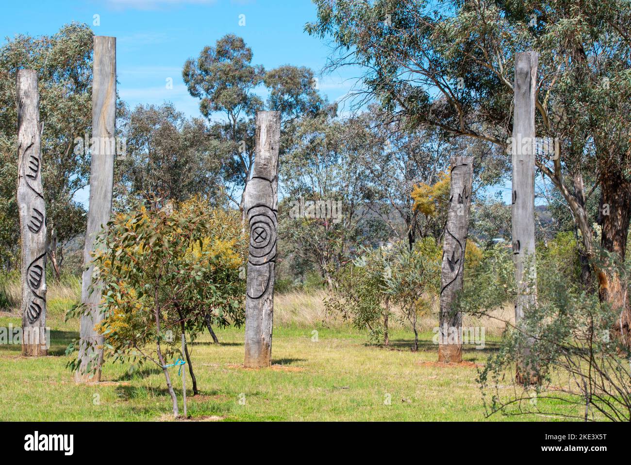 Geschnitzte Bäume oder Totems, die geschaffen wurden, um die Geschichte der lokalen Kamilaroi-Völker (indigene Völker) in der Gegend um Gunnedah in Australien zu feiern Stockfoto