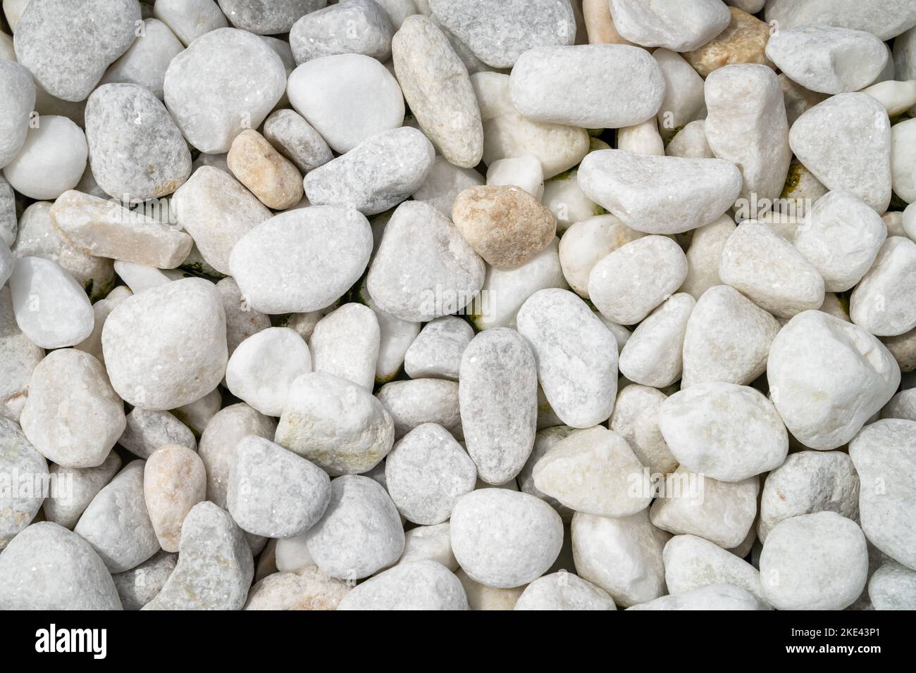 Weiße Kieselsteine als Hintergrund Stockfoto