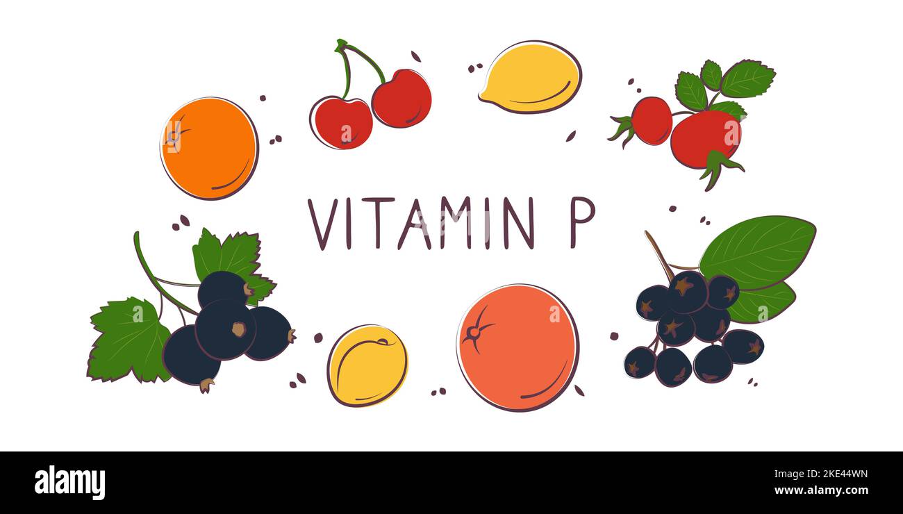 Vitamin P Bioflavonoide. Gruppen von gesunden Lebensmitteln mit Vitaminen und Mineralstoffen. Set aus Obst, Gemüse, Fleisch, Fisch und Milchprodukten. Stock Vektor