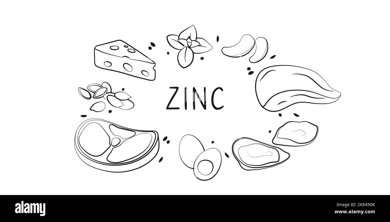 Zinkhaltige Lebensmittel. Gruppen von gesunden Lebensmitteln mit Vitaminen und Mineralstoffen. Set aus Obst, Gemüse, Fleisch, Fisch und Milchprodukten Stock Vektor