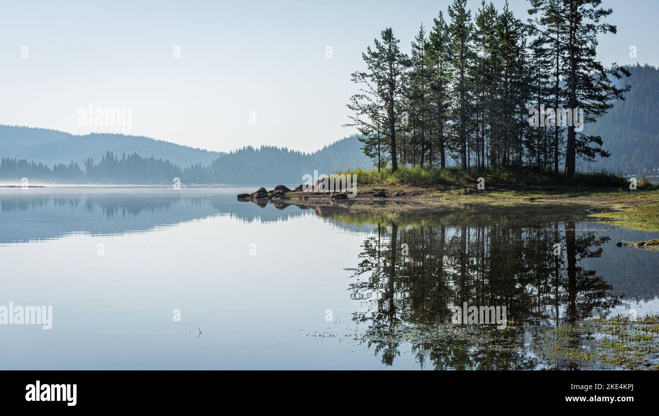 Die Bäume wachsen auf einer kleinen Insel am See Stockfoto