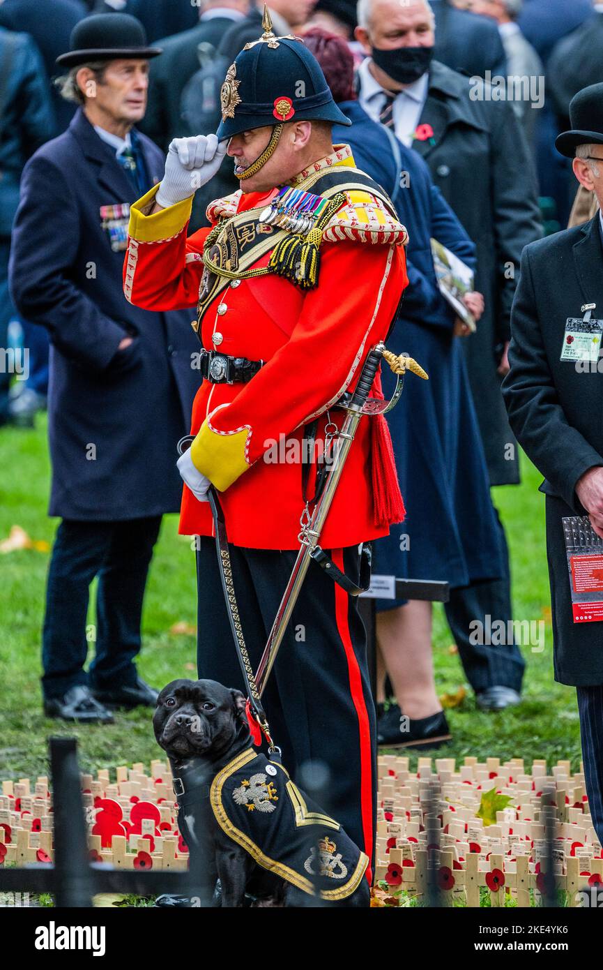 London, Großbritannien. 10.. November 2022. Das Maskottchen des Staffordshire Regiment - das Erinnerungsfeld wird von Camilla, dem Queen Consort außerhalb der Westminster Abbey, eröffnet. Kreuze mit Mohnblumen wurden von Freiwilligen der Poppy Factory mit Erinnerungsbotschaften von Einzelpersonen gelegt und nach ihren verschiedenen Regimentern und Korps sortiert.Quelle: Guy Bell/Alamy Live News Stockfoto