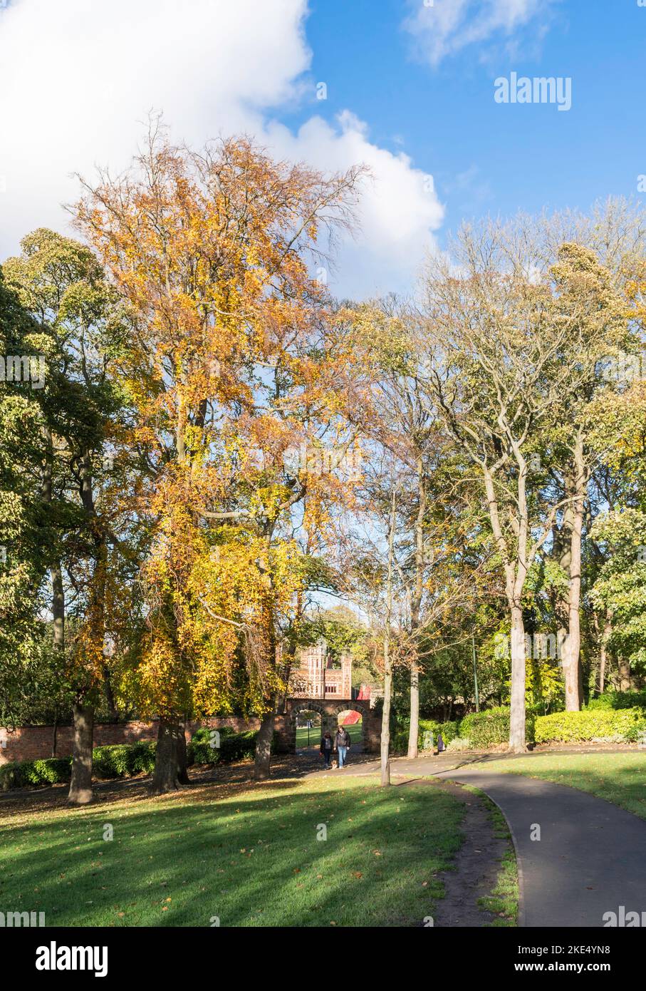 Herbstfarbe im Saltwell Park, ein Paar, das mit einem Hund in Gateshead, England, Großbritannien, unterwegs ist Stockfoto