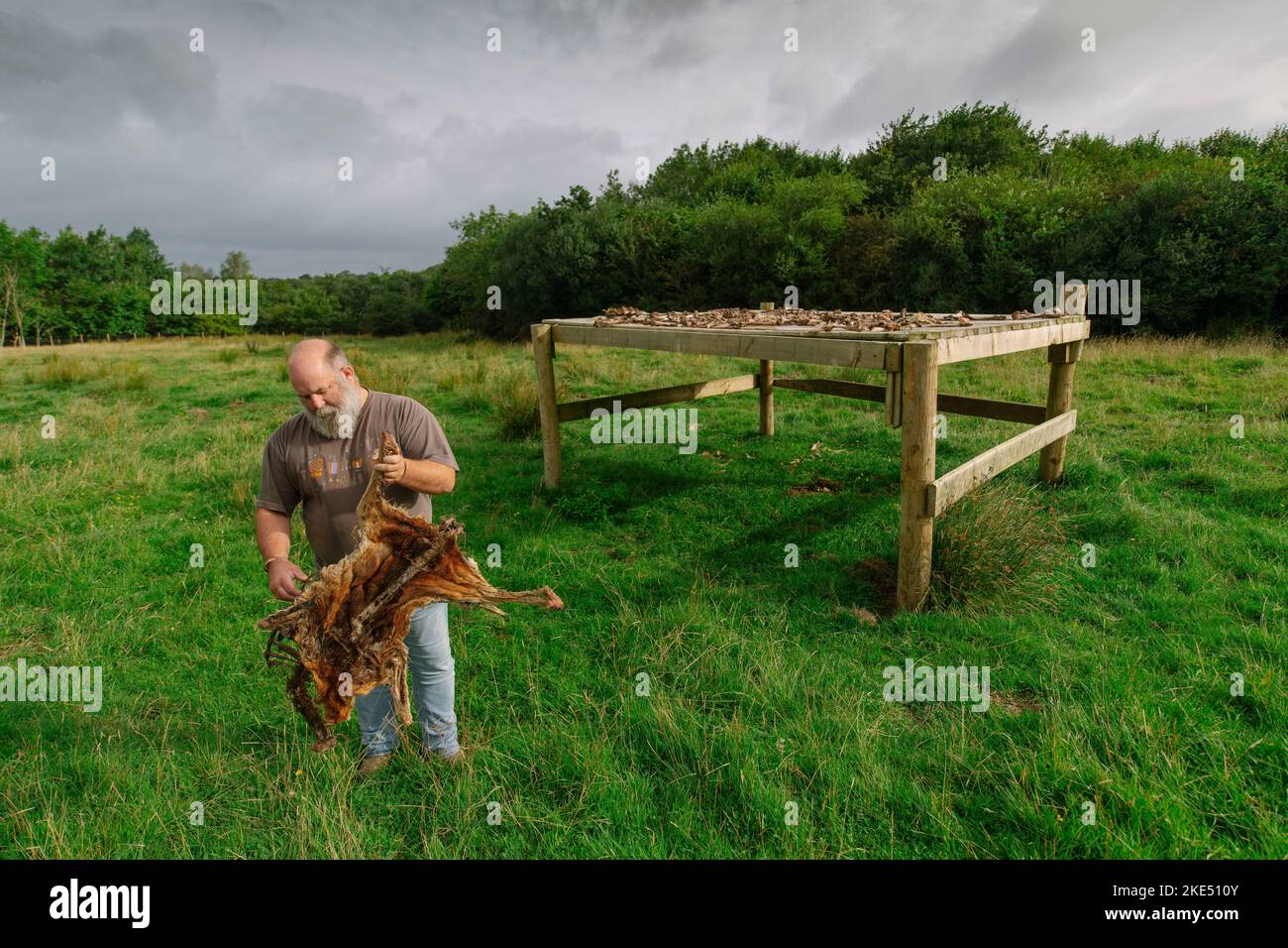 Bild von Jim Wileman - 13/08/21 Derek Gow abgebildet mit einem Himmelstisch, auf der Upcott Grange Farm, Broadwoodwidger, Devon. Stockfoto