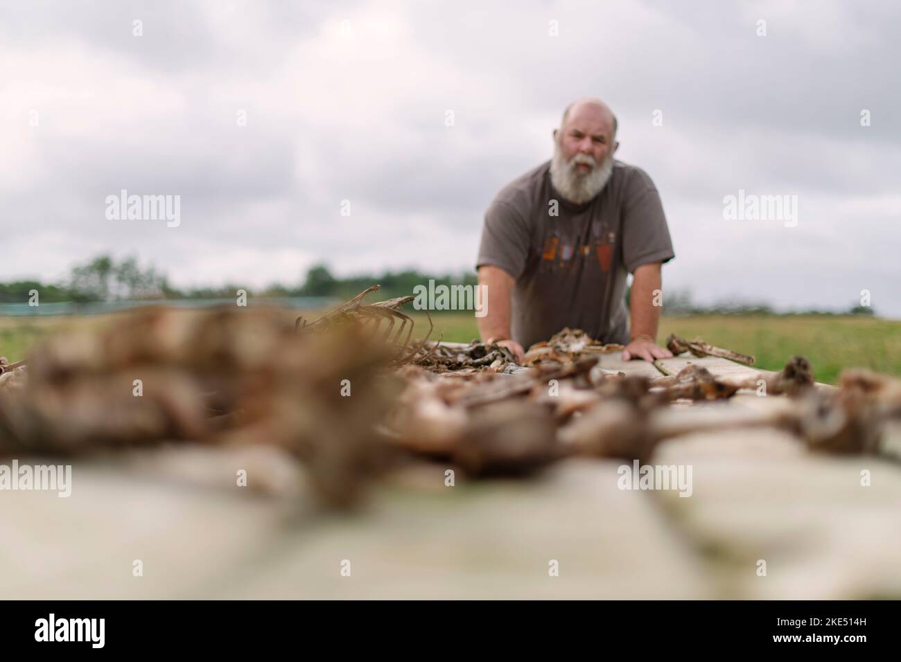 Bild von Jim Wileman - 13/08/21 Derek Gow abgebildet mit einem Himmelstisch, auf der Upcott Grange Farm, Broadwoodwidger, Devon. Stockfoto