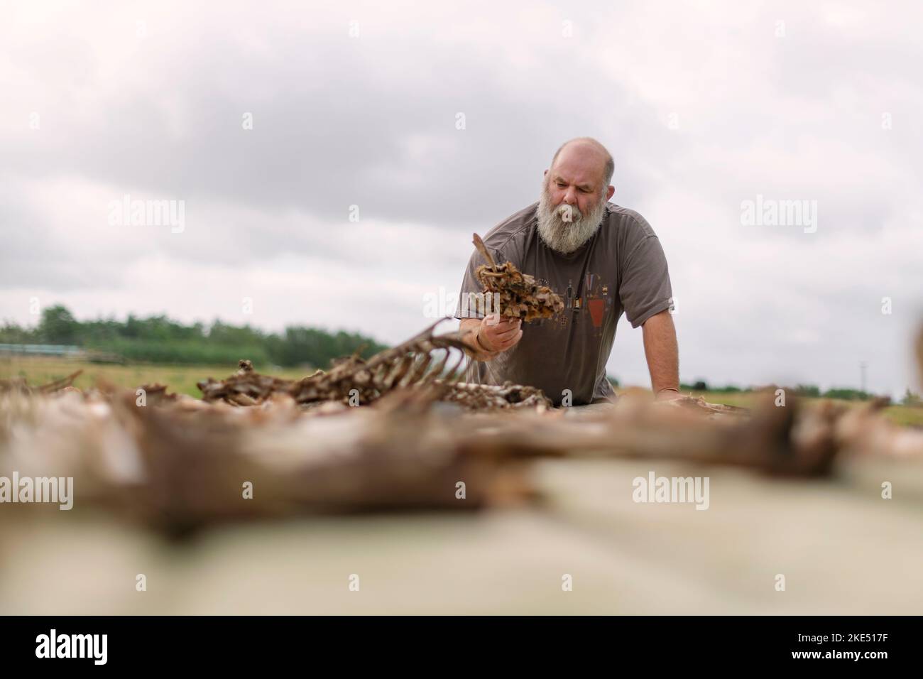 Bild von Jim Wileman - 13/08/21 Derek Gow abgebildet mit einem Himmelstisch, auf der Upcott Grange Farm, Broadwoodwidger, Devon. Stockfoto