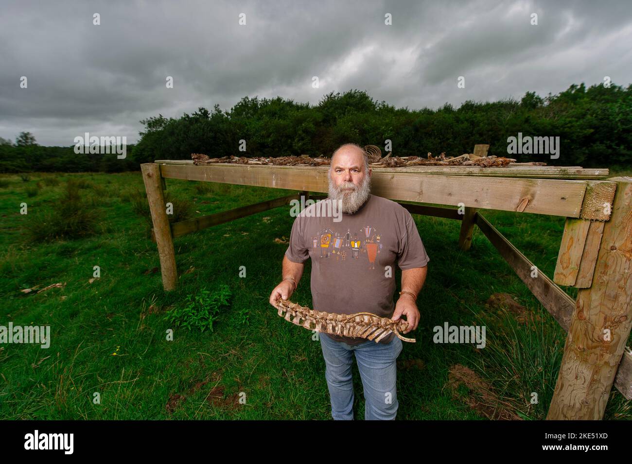 Bild von Jim Wileman - 13/08/21 Derek Gow abgebildet mit einem Himmelstisch, auf der Upcott Grange Farm, Broadwoodwidger, Devon. Stockfoto