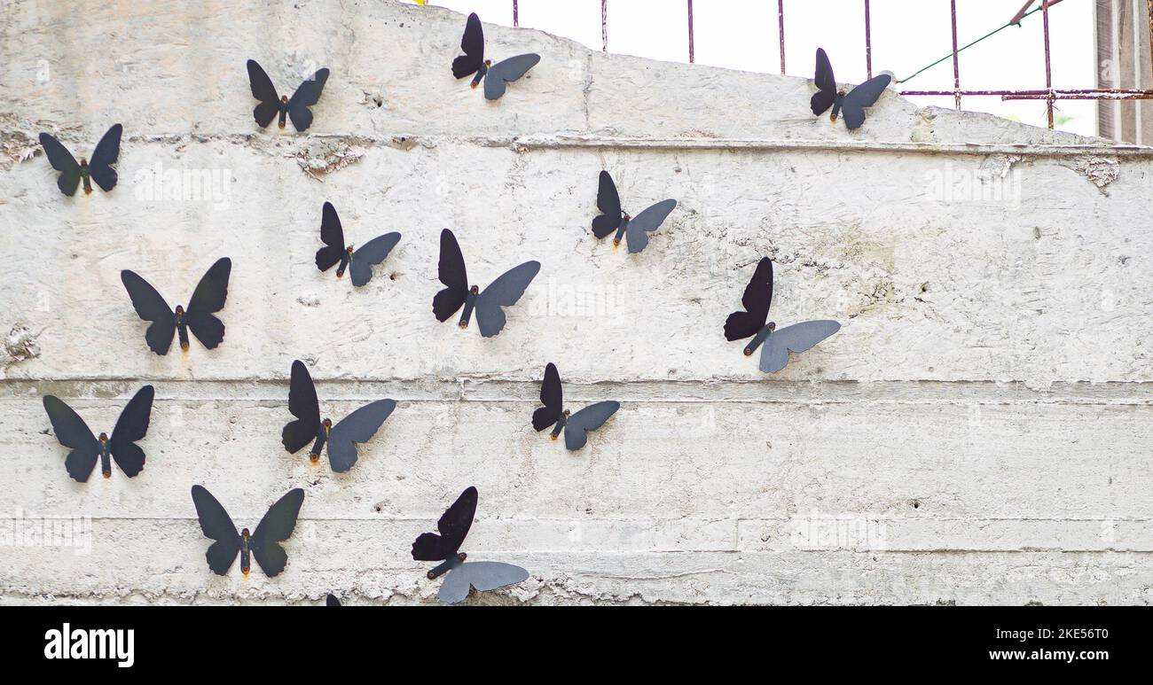 Mehrere metallische schwarze Schmetterlinge saßen auf einer Zementwand. Stockfoto