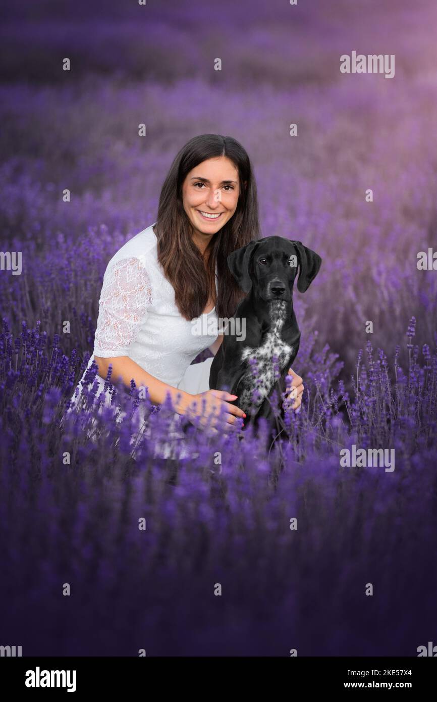 Junger Dalmatiner-Rhodesier-Ridgeback Stockfoto