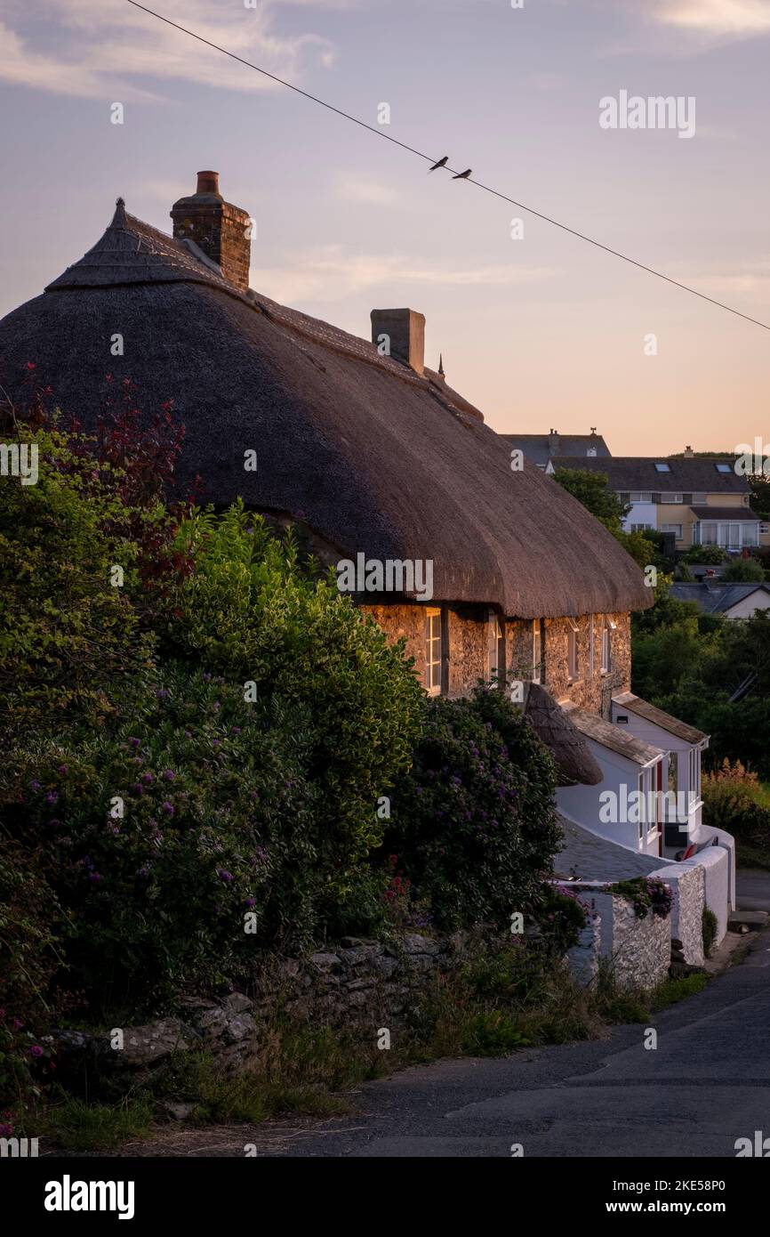Sonnenuntergang in East Prawle, Sommer. Alte reetgedeckte Hütten und Telegraph Draht mit Schwalben. Stockfoto