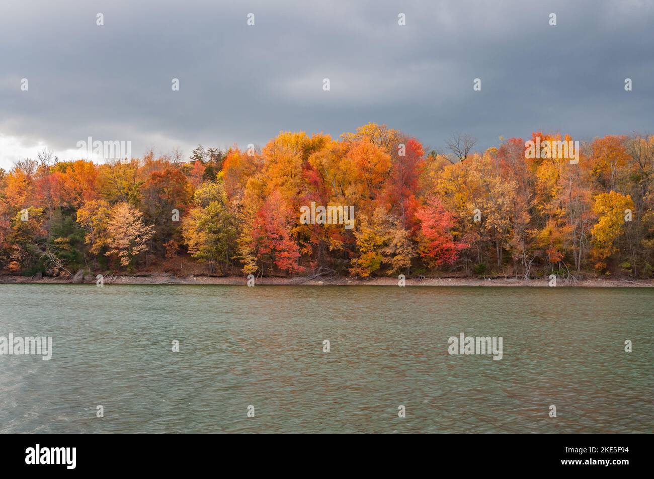 Brillant. Pennsylvania Autumn Colors, USA Stockfoto