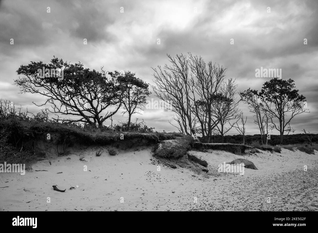 Schwarzweiß-Bild der Küstenerosion in Benacre, Suffolk, England, Vereinigtes Königreich Stockfoto
